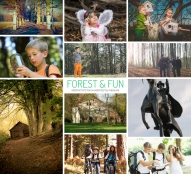 Forest & Fun groepsactiviteiten