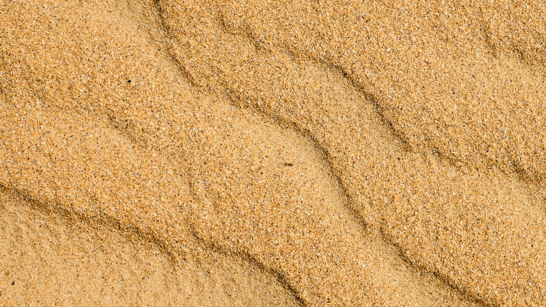 Bijt in het zand