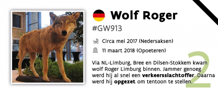 Wolf Roger